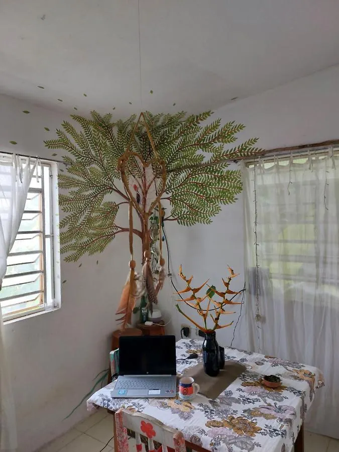 בית אירוח דירות בקאלאר Casa De Viajeros