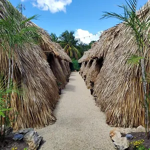  Campingplads Hakuna Matata Glamping